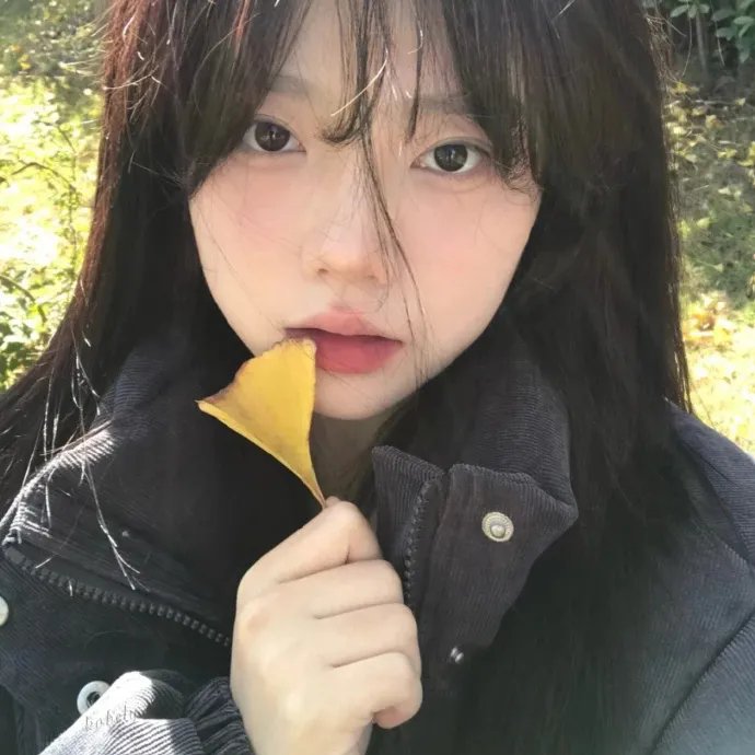 飞燕倾城